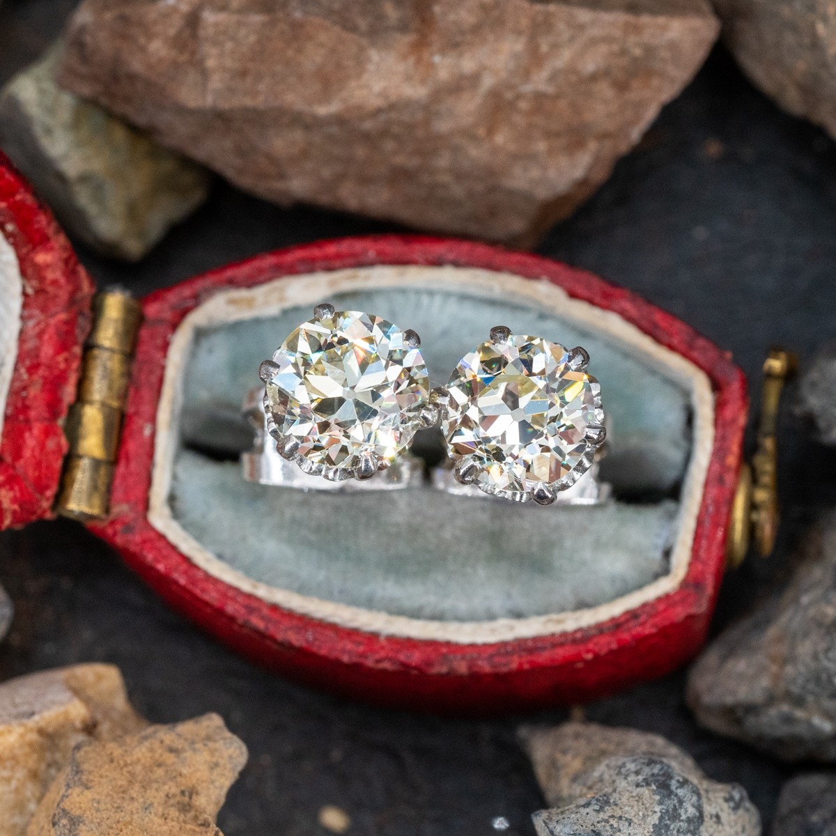 Rose Diamond Earring – zivar.in