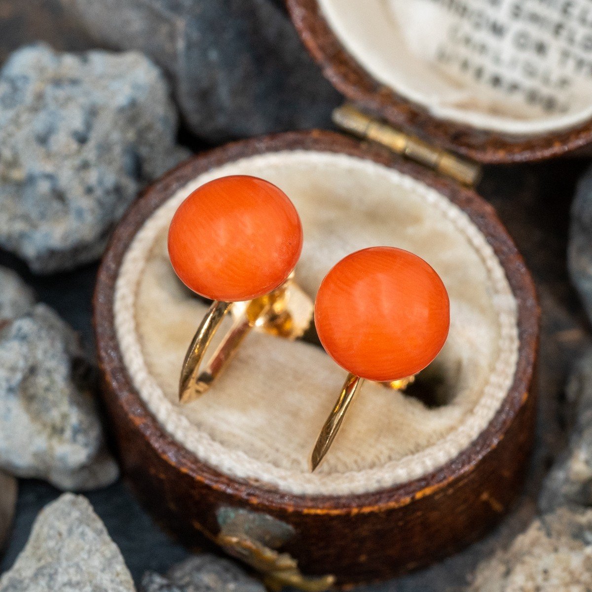 Mid-Century Angel Skin Coral Earrings in 14k Yellow Gold - Filigree Jewelers