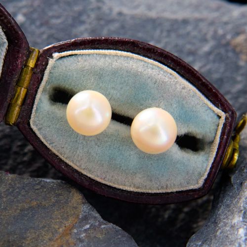 Versatile Saltwater Pearl Stud Earrings 14K Yellow Gold