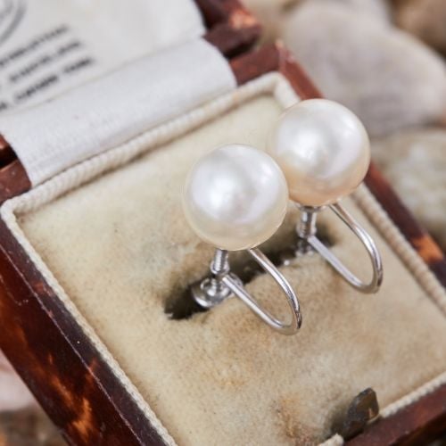 Vintage Saltwater Pearl Earrings 14K White Gold Non Pierced Screw Ons