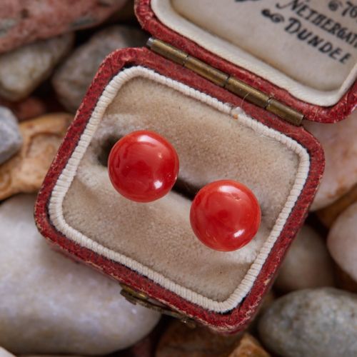 Red Coral Cabochon Stud Earrings 14K White Gold