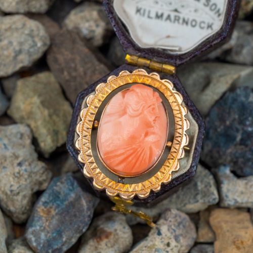 Gorgeous Vintage High Relief Carved Coral Cameo Brooch Pin Yellow Gold