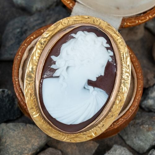 Etched Border Shell Cameo Pendant Brooch Yellow Gold