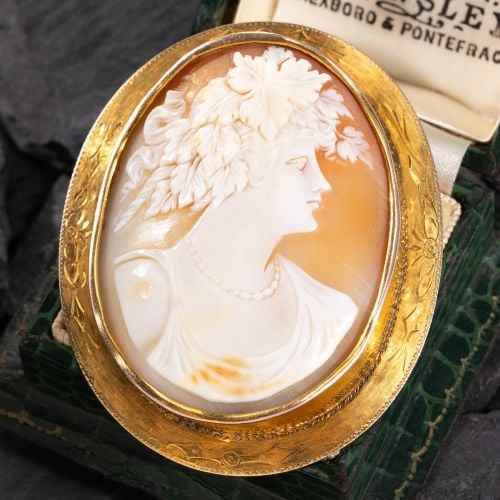 Shell Cameo Brooch Pendant w/ Engraved Border Yellow Gold