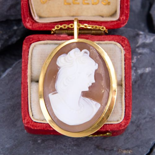 Elegant Shell Cameo Brooch Pin Pendant Necklace Yellow Gold